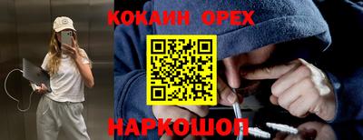 прущие грибы Канаш