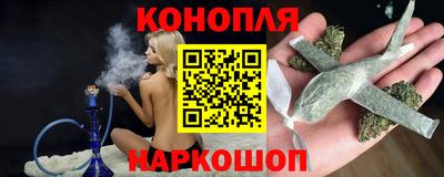 прущие грибы Канаш