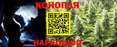 прущие грибы Канаш